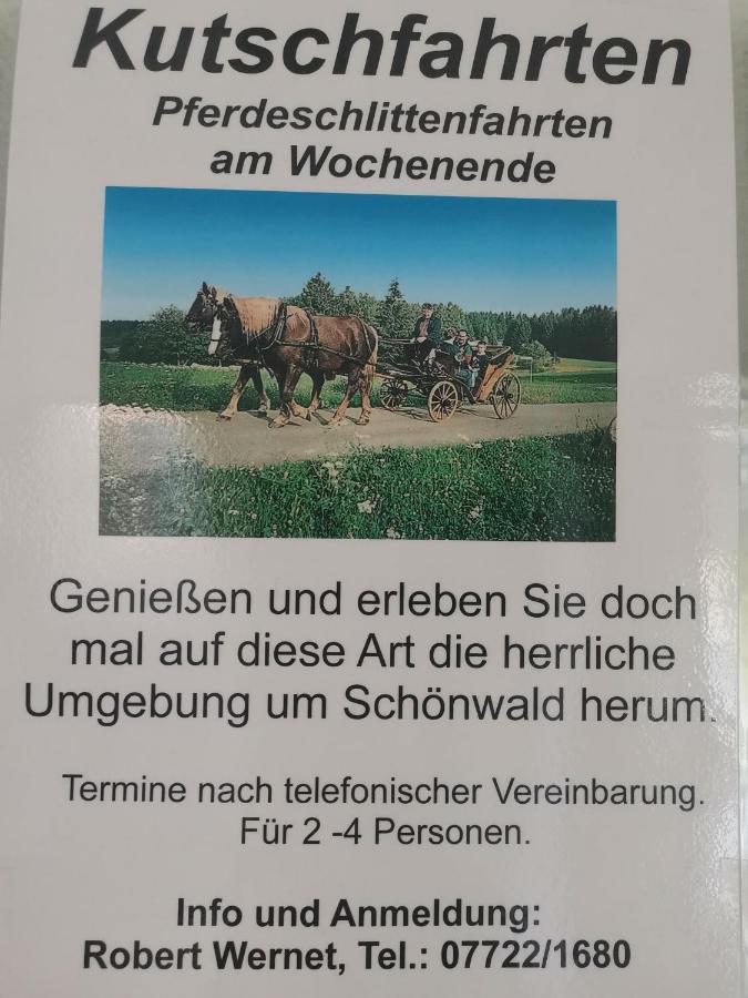 Ferienwohnung Schoene Wohnung 2D-Gebaeude Mit Mini-Garten Schönwald Bagian luar foto