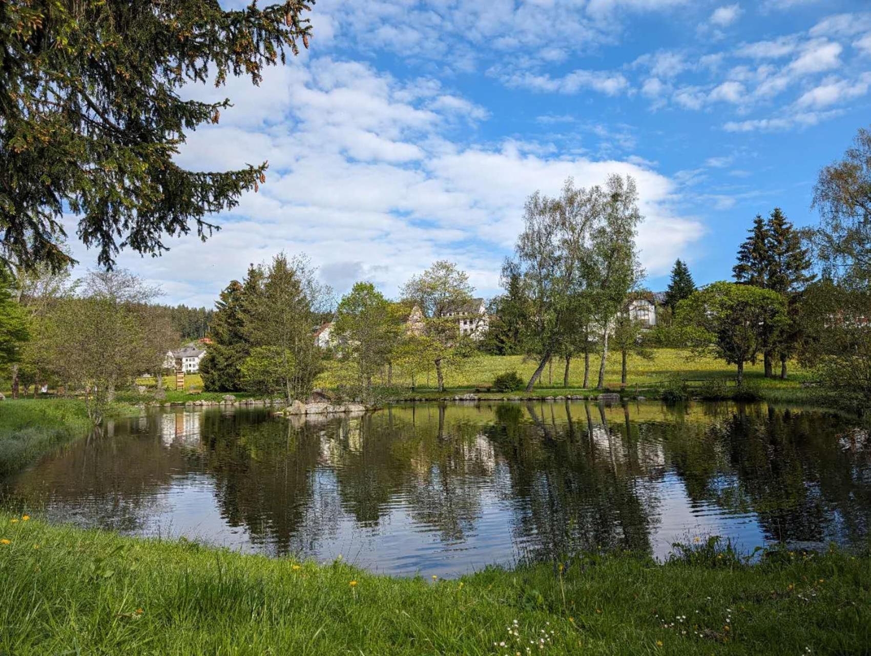 Ferienwohnung Schoene Wohnung 2D-Gebaeude Mit Mini-Garten Schönwald Bagian luar foto